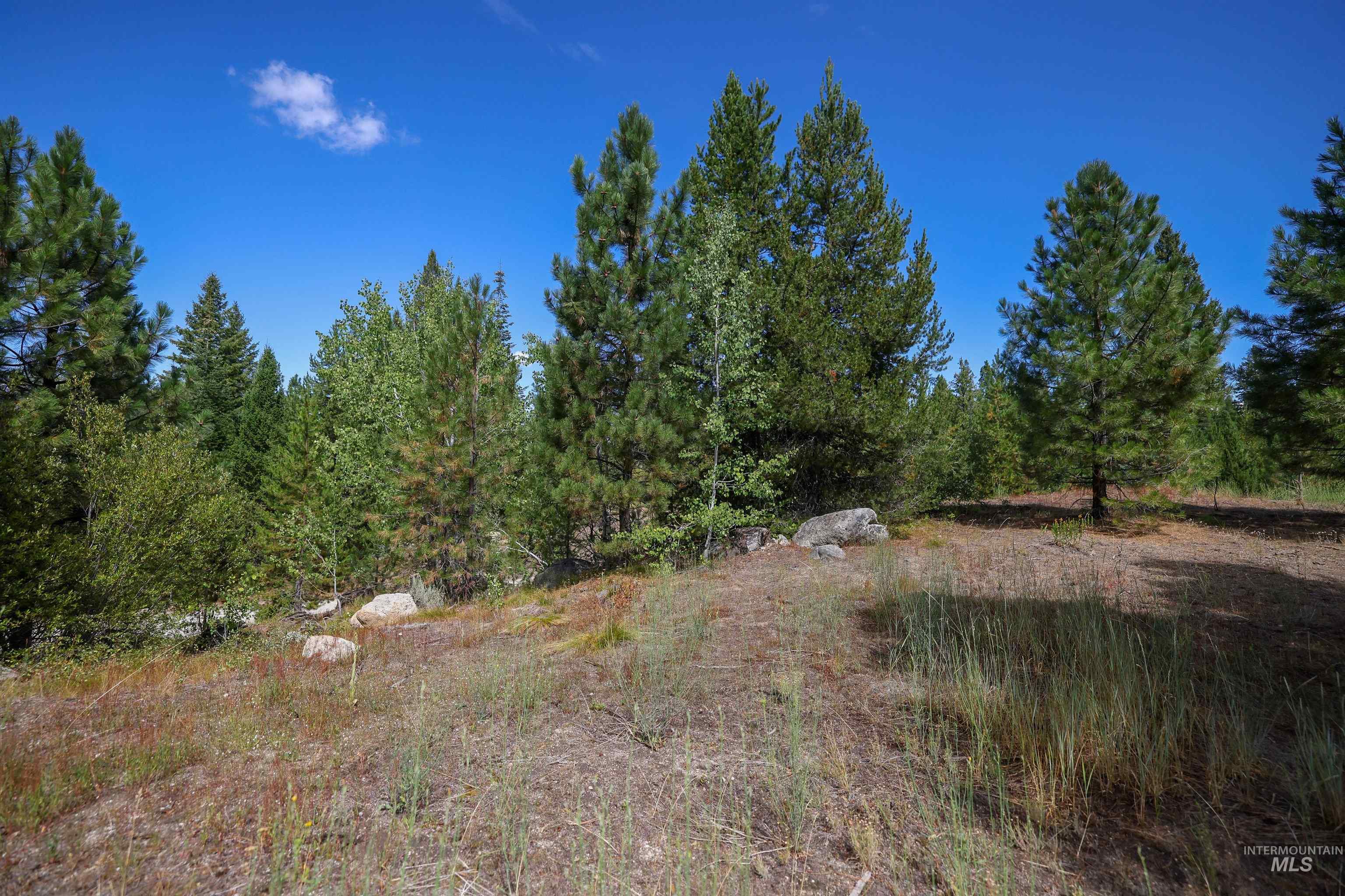 47 Coit Drive Cascade, ID 83611 - Photo 8 of 34 View of local wilderness