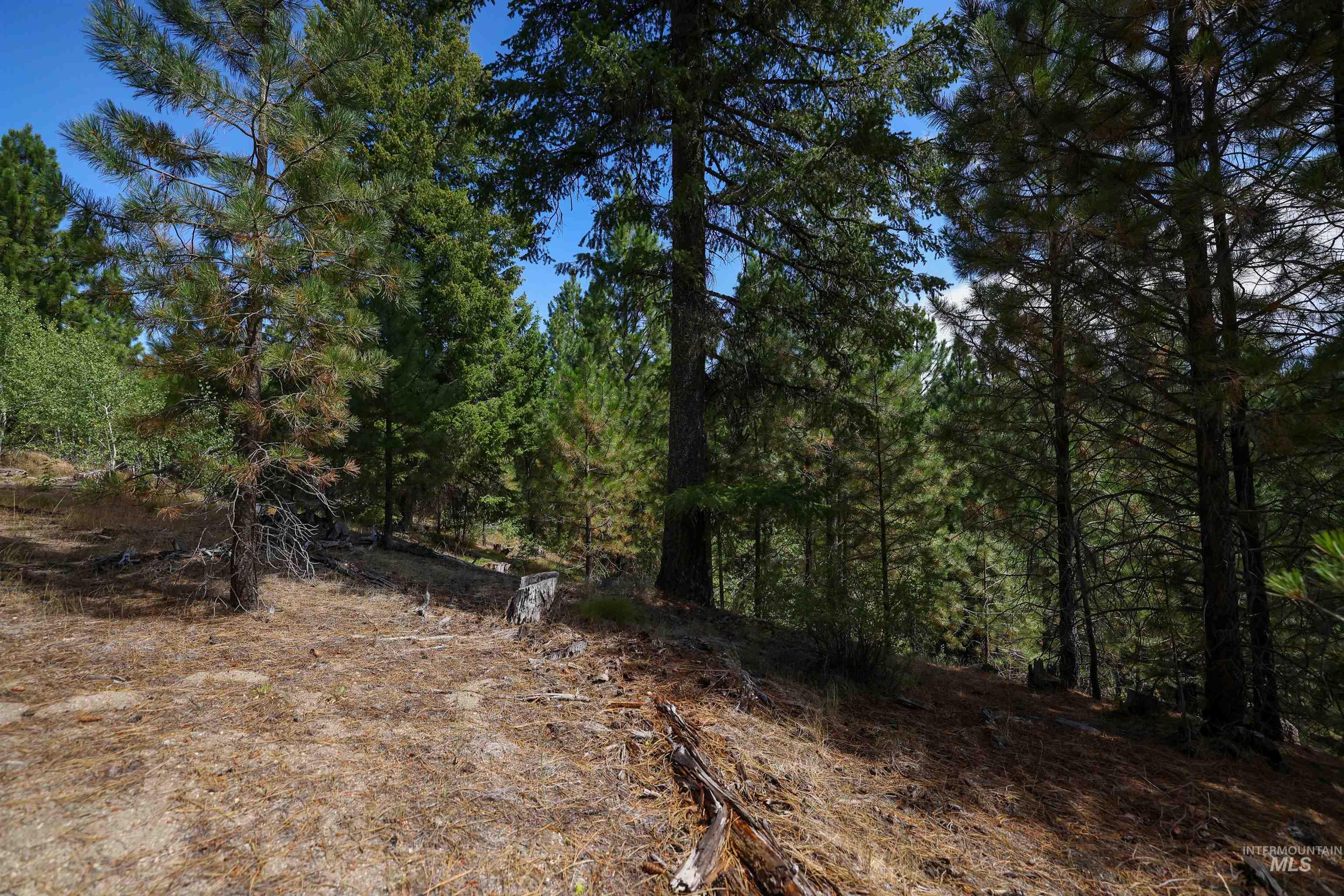 47 Coit Drive Cascade, ID 83611 - Photo 9 of 34 View of wooded area
