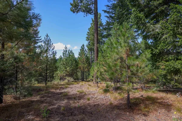 $234,900 | 47 Coit Drive, Cascade, ID 83611