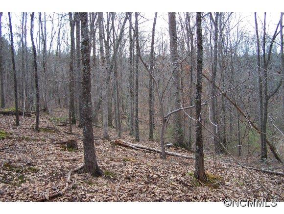 669 Pointer Road Forest City, NC 28043 - Photo 3 of 11 Gallery Image 3