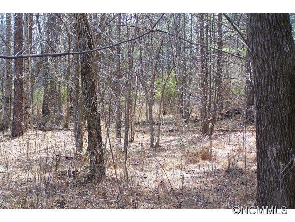 669 Pointer Road Forest City, NC 28043 - Photo 8 of 11 Gallery Image 8