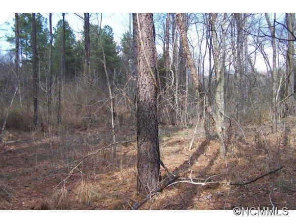 669 Pointer Road Forest City, NC 28043 - Photo 9 of 11 Gallery Image 9