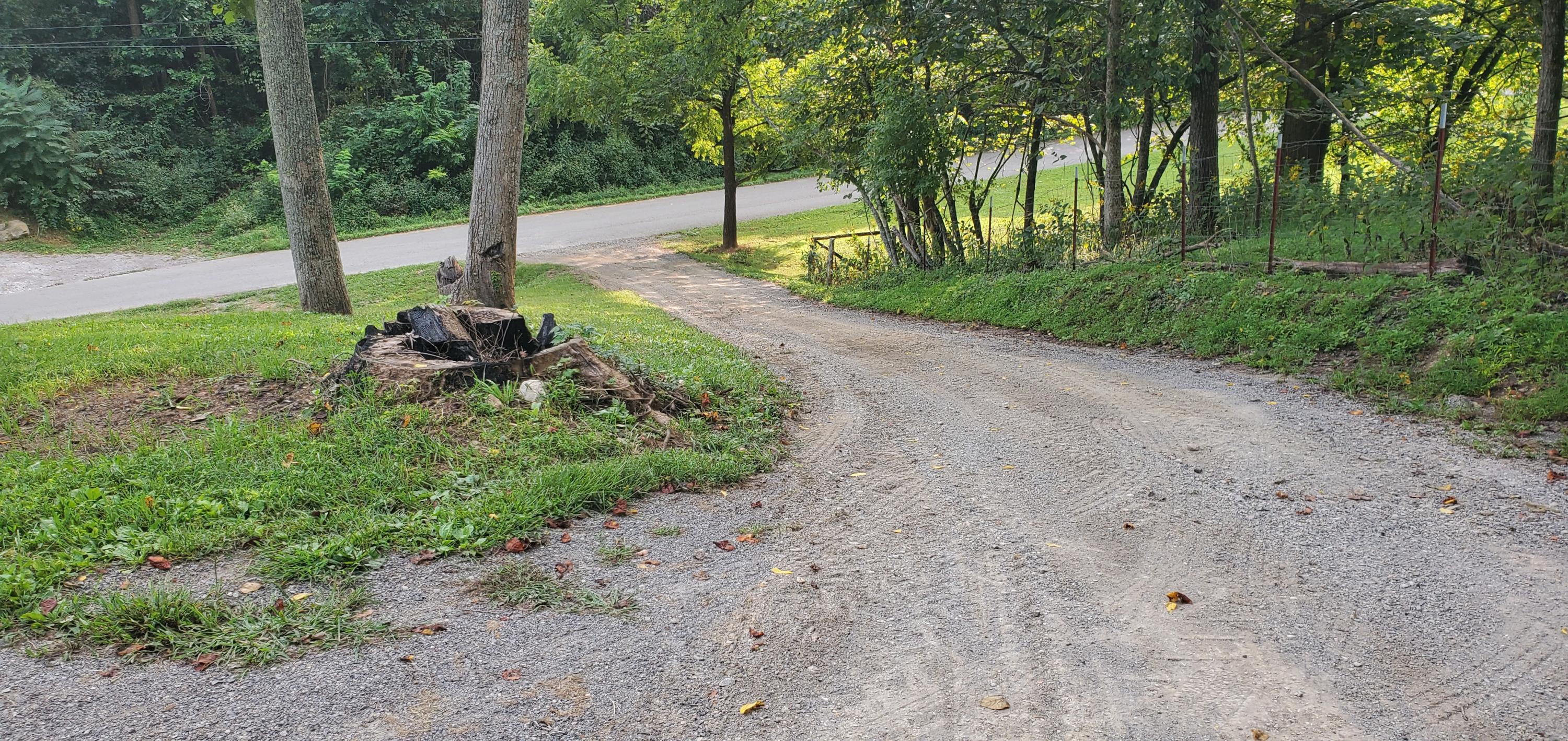 128 Bower Hollow Road Luttrell, TN 37779 - Photo 29 of 29 20200914_170414