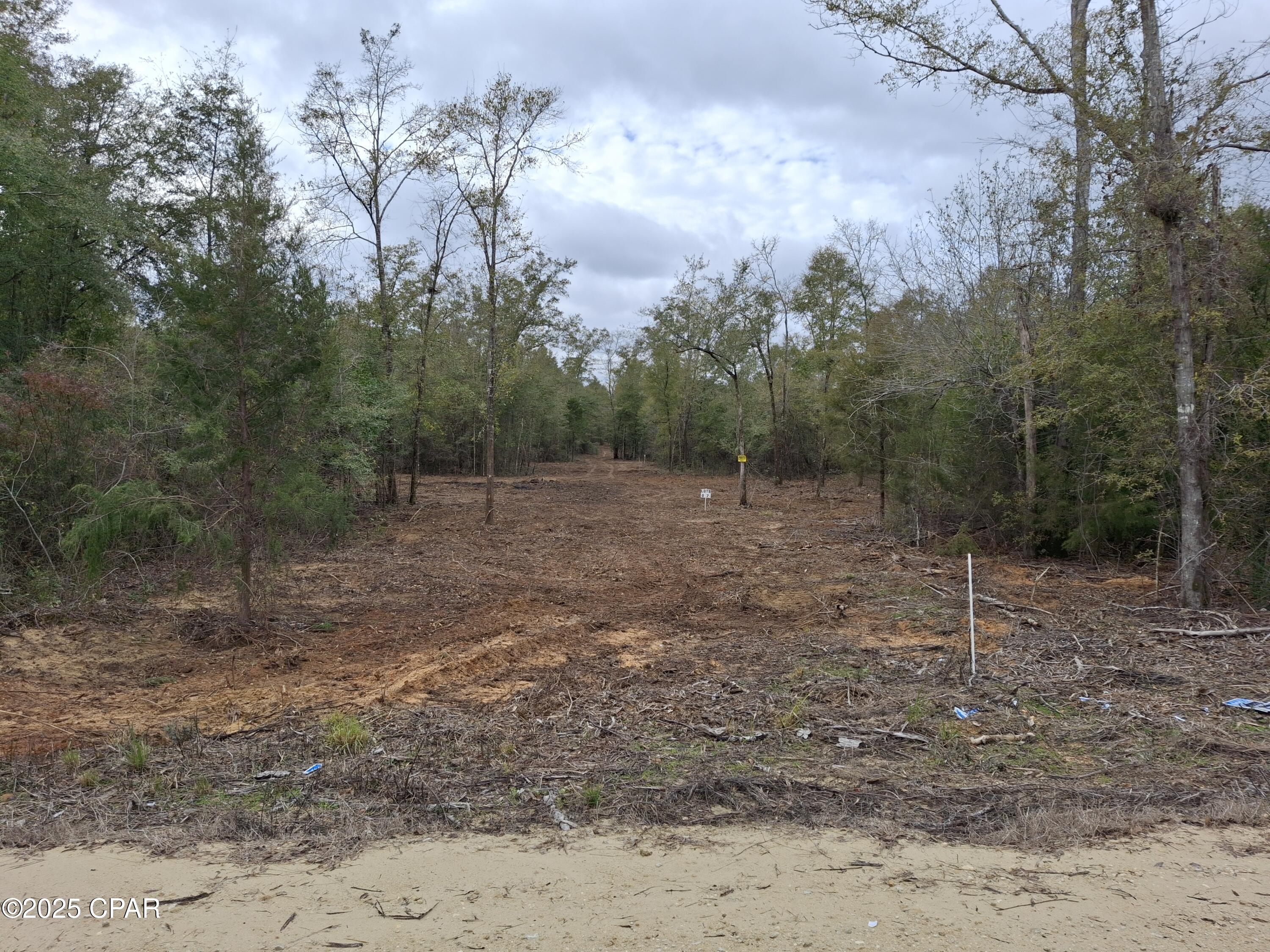 0 Tommy Tucker Road, Unit LOT 4 Altha, FL 32421 - Photo 14 of 22