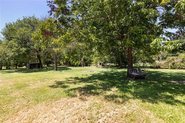 a view of a trees with a yard