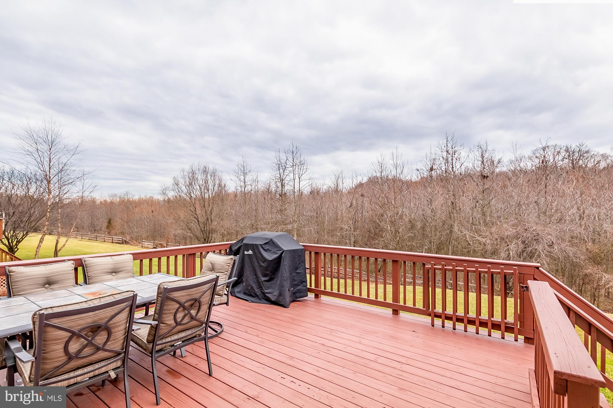 9510 Good Spring Drive Perry Hall, MD 21128 - Photo 23 of 53 Check out that view!
