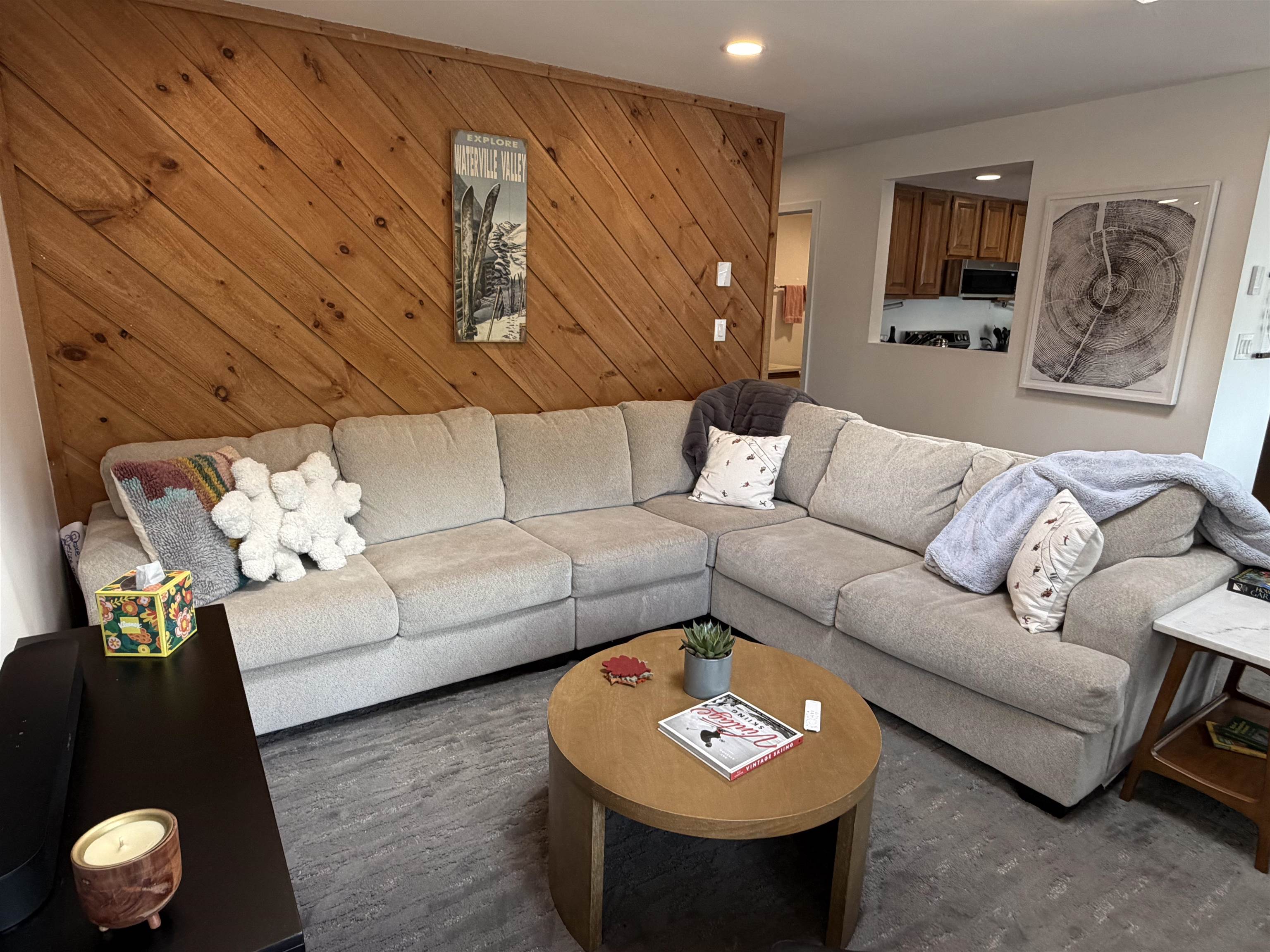 3 Pine Tree Way, Unit 40 Waterville Valley, NH 03215 - Photo 6 of 52