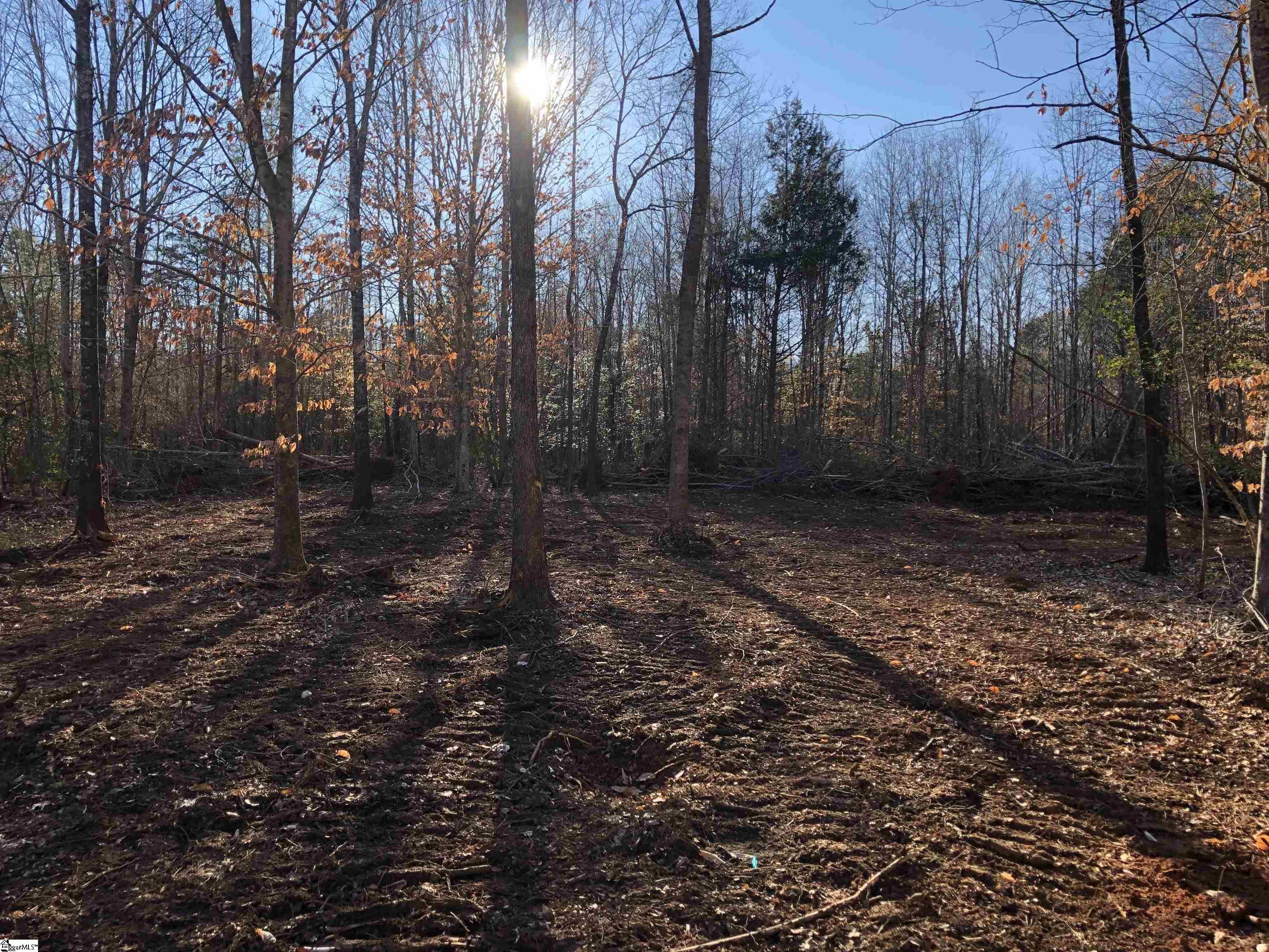 1015 Stagecoach Road, Unit LOT 3 Pauline, SC 29374 - Photo 3 of 16 Gallery Image 3