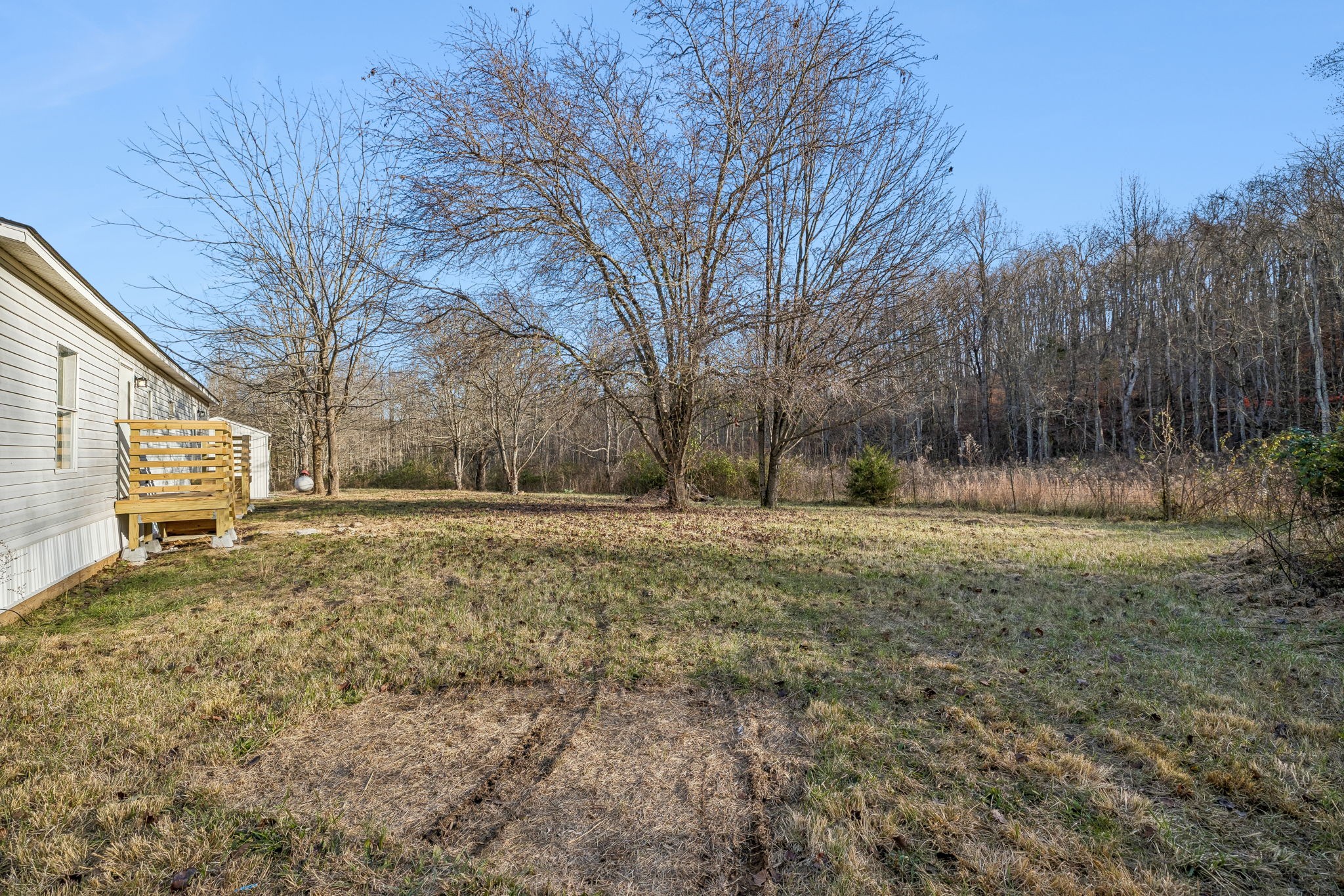 145 Milk Barn Road Cookeville, TN 38506 - Photo 32 of 43 a view of a yard with a tree