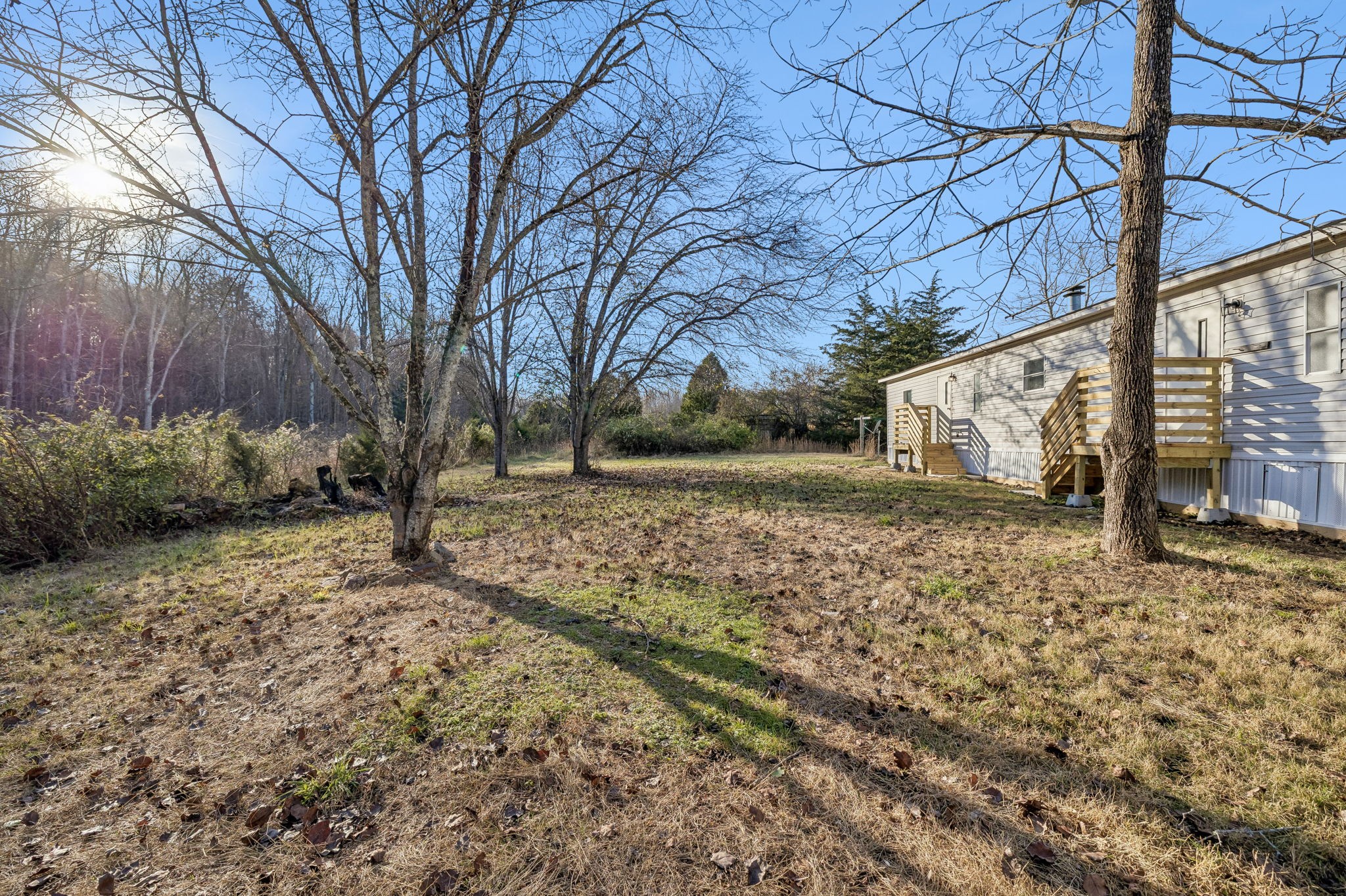 145 Milk Barn Road Cookeville, TN 38506 - Photo 33 of 43 a view of a backyard with large trees