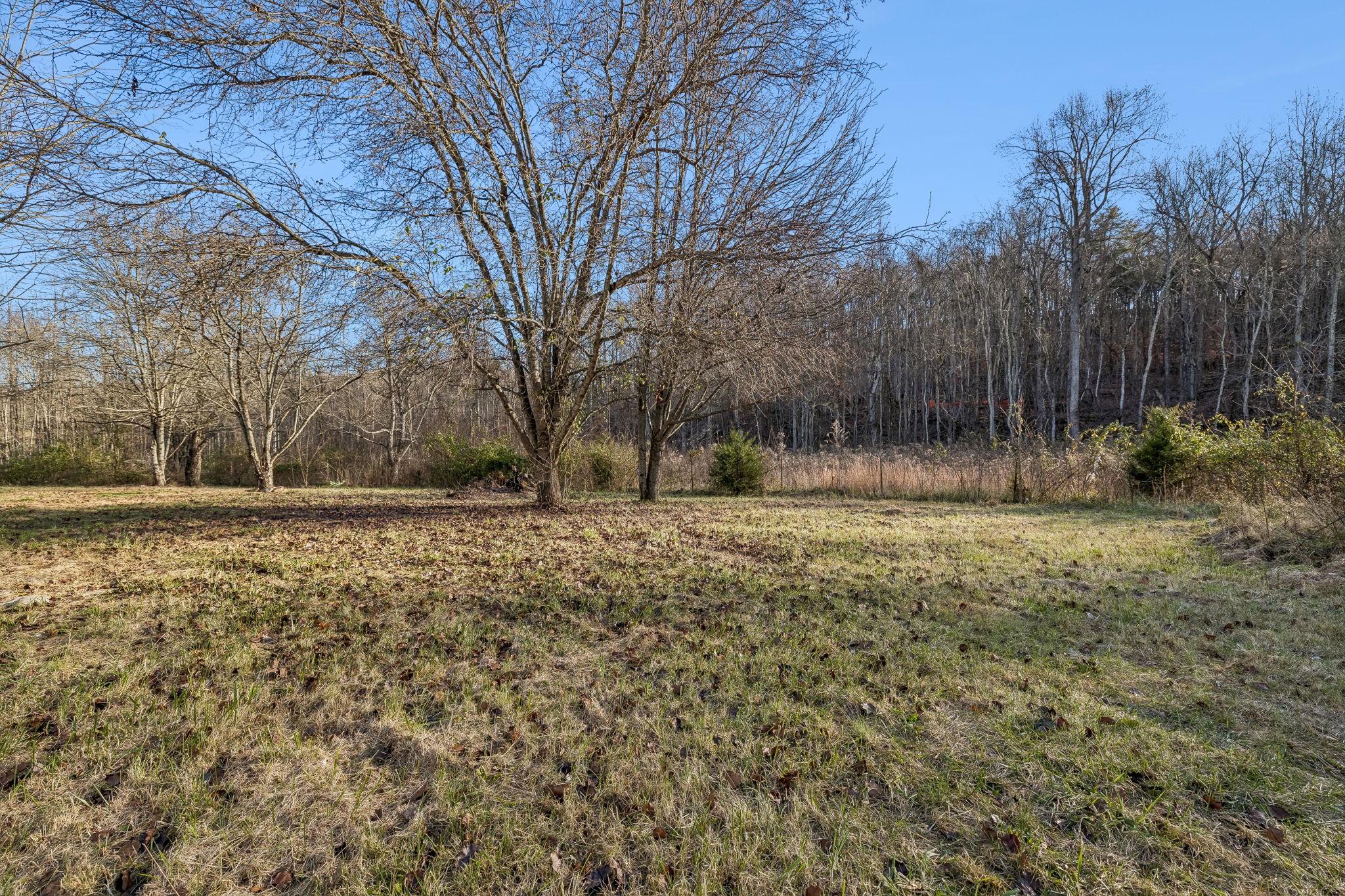 145 Milk Barn Road Cookeville, TN 38506 - Photo 34 of 43 a view of outdoor space with deck and yard