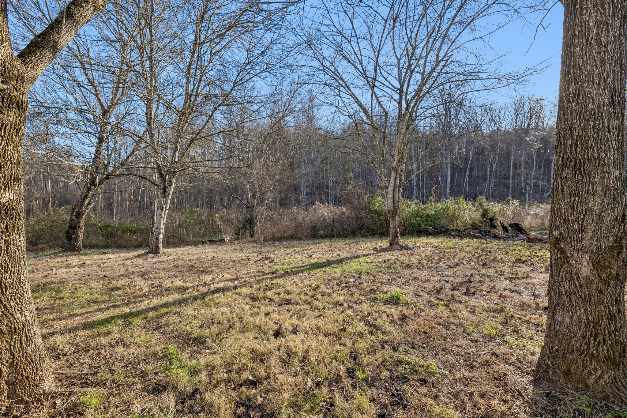 145 Milk Barn Road Cookeville, TN 38506 - Photo 35 of 43 a backyard of a house