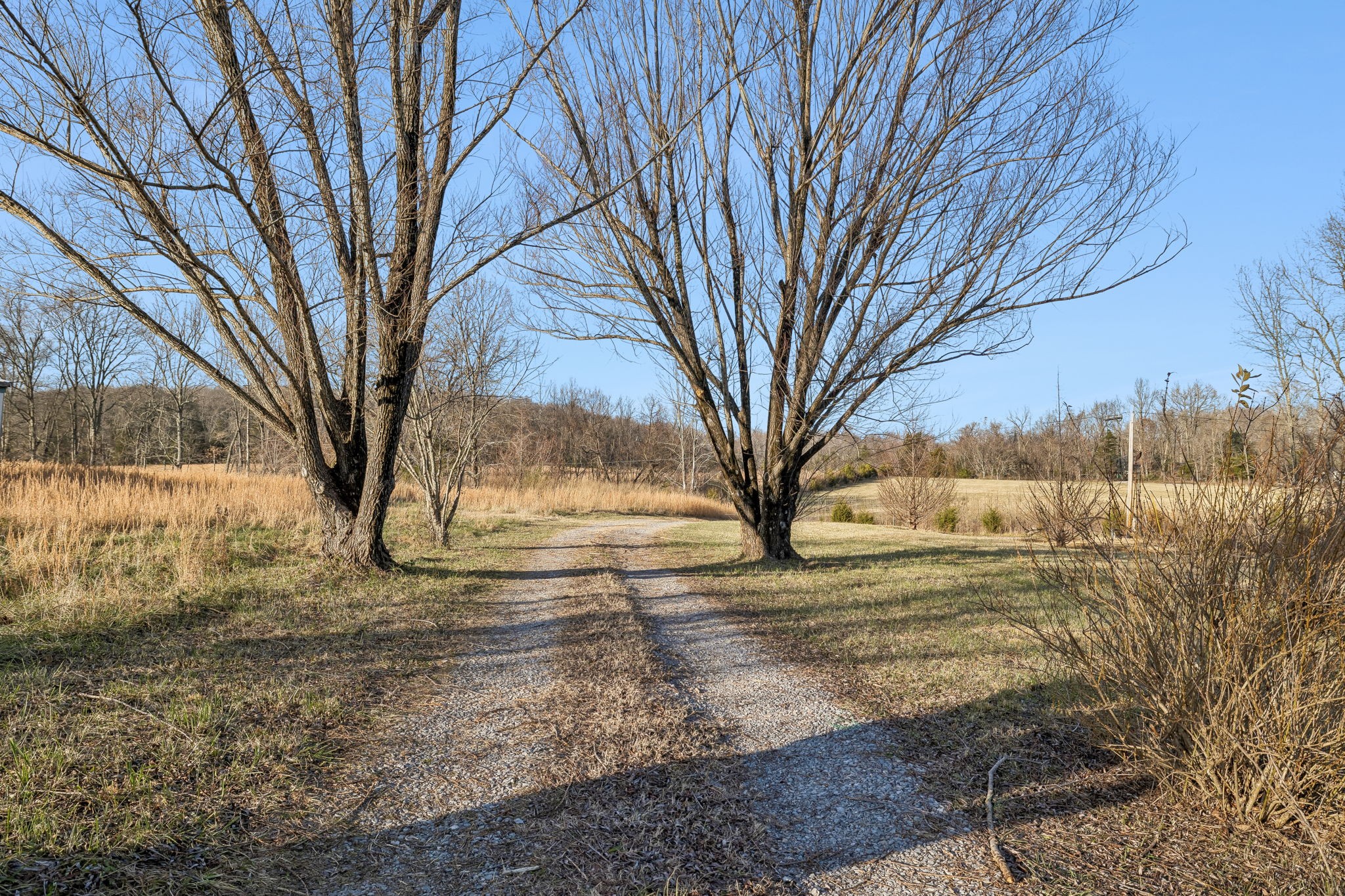 145 Milk Barn Road Cookeville, TN 38506 - Photo 43 of 43 a view of yard covered with snow in outdoor