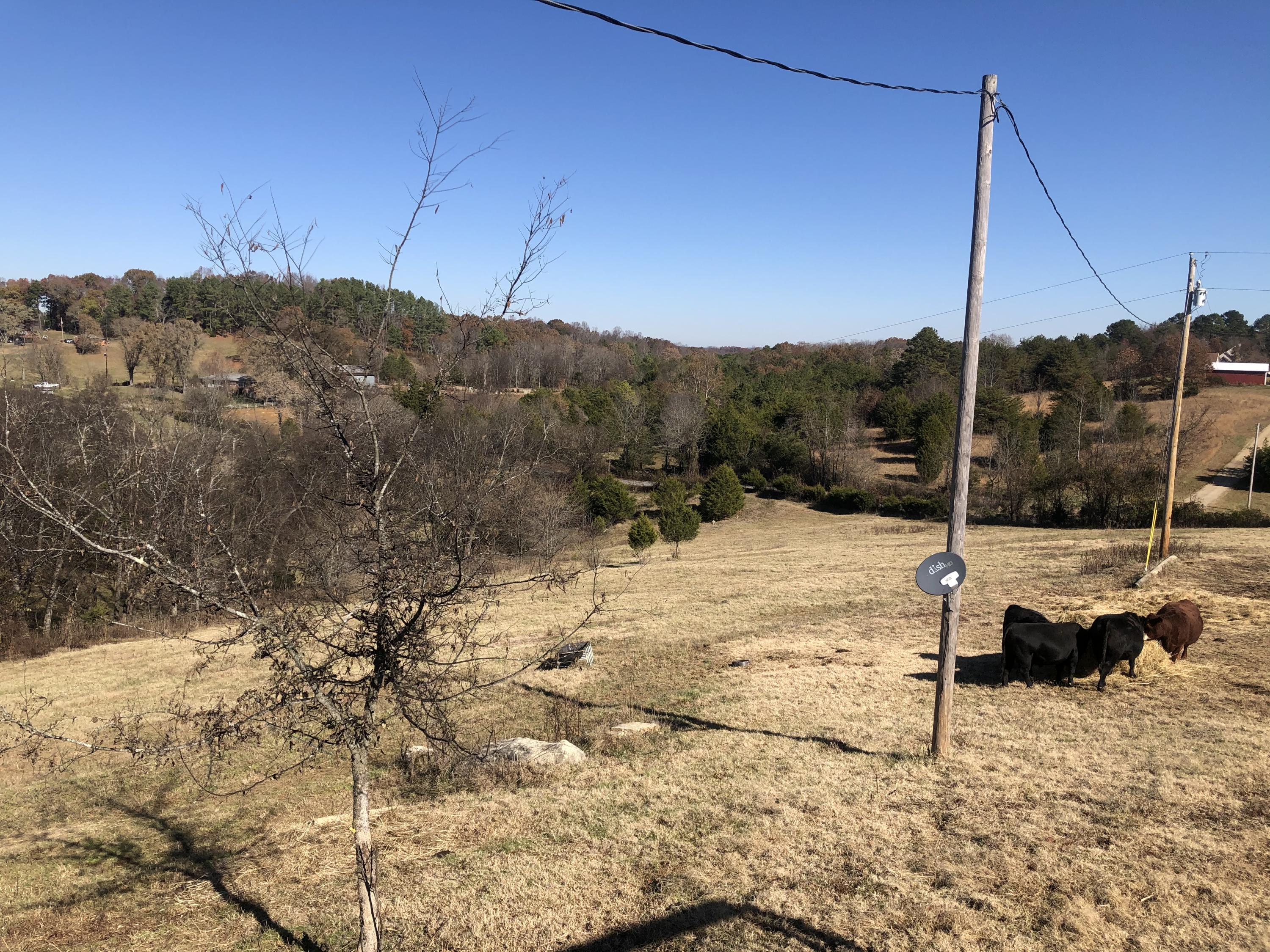 1377 Culbertson Road Greeneville, TN 37743 - Photo 21 of 37 View from deck
