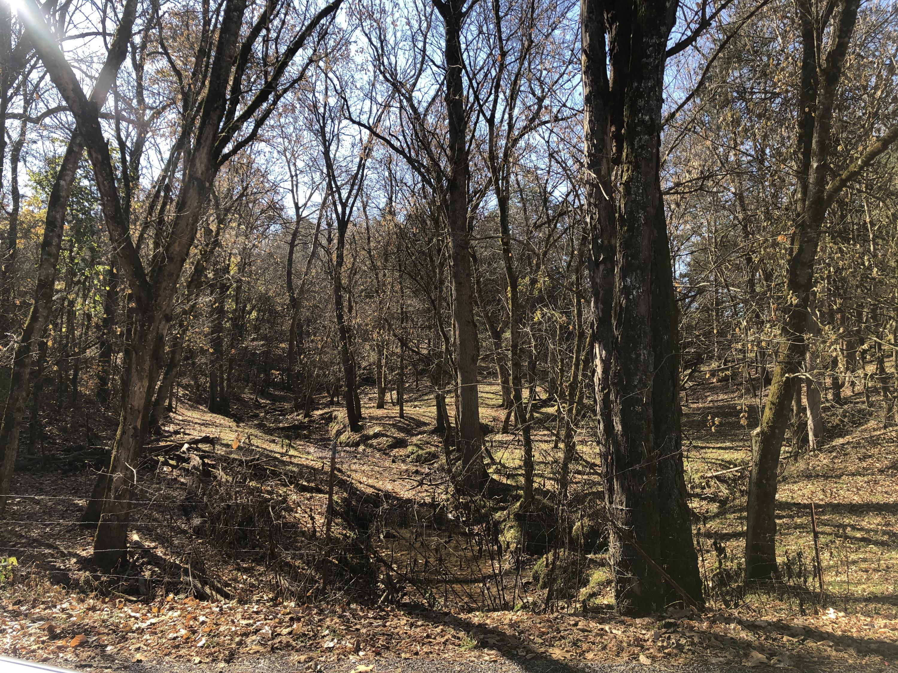 1377 Culbertson Road Greeneville, TN 37743 - Photo 28 of 37 View to property
