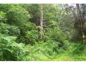 0 Friendship Road Bristol, TN 37620 - Photo 2 of 9 Photo 2