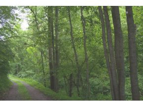 0 Friendship Road Bristol, TN 37620 - Photo 6 of 9 Photo 6