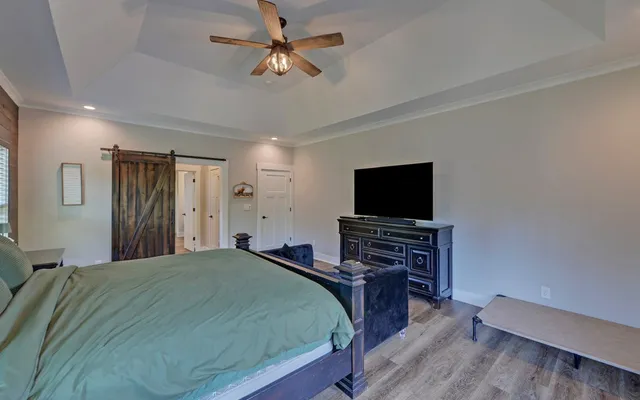 a view of a street with potted plants and a large tree