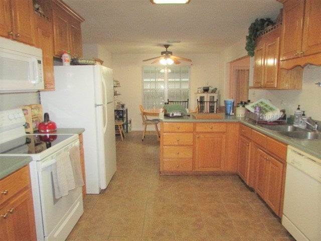 Gallery Image 6