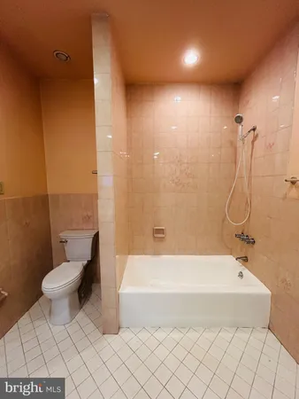 a bathroom with a toilet and a bathtub