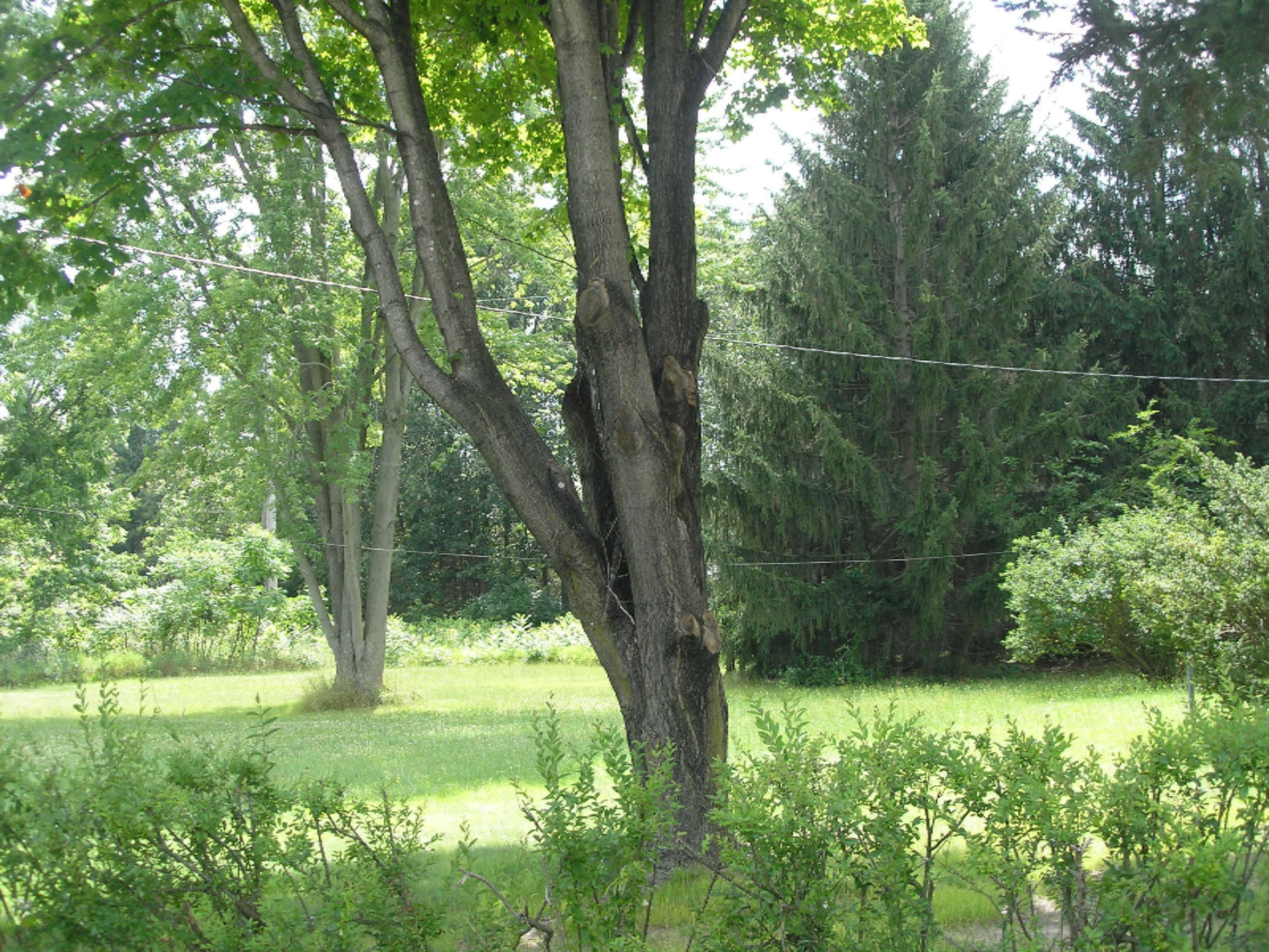 59138 Lambert Road Three Rivers, MI 49093 - Photo 3 of 15 P1010875