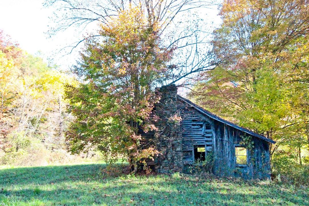 5375 Rag Mountain Road Hartford, TN 37753 - Photo 22 of 39 IMG_1930