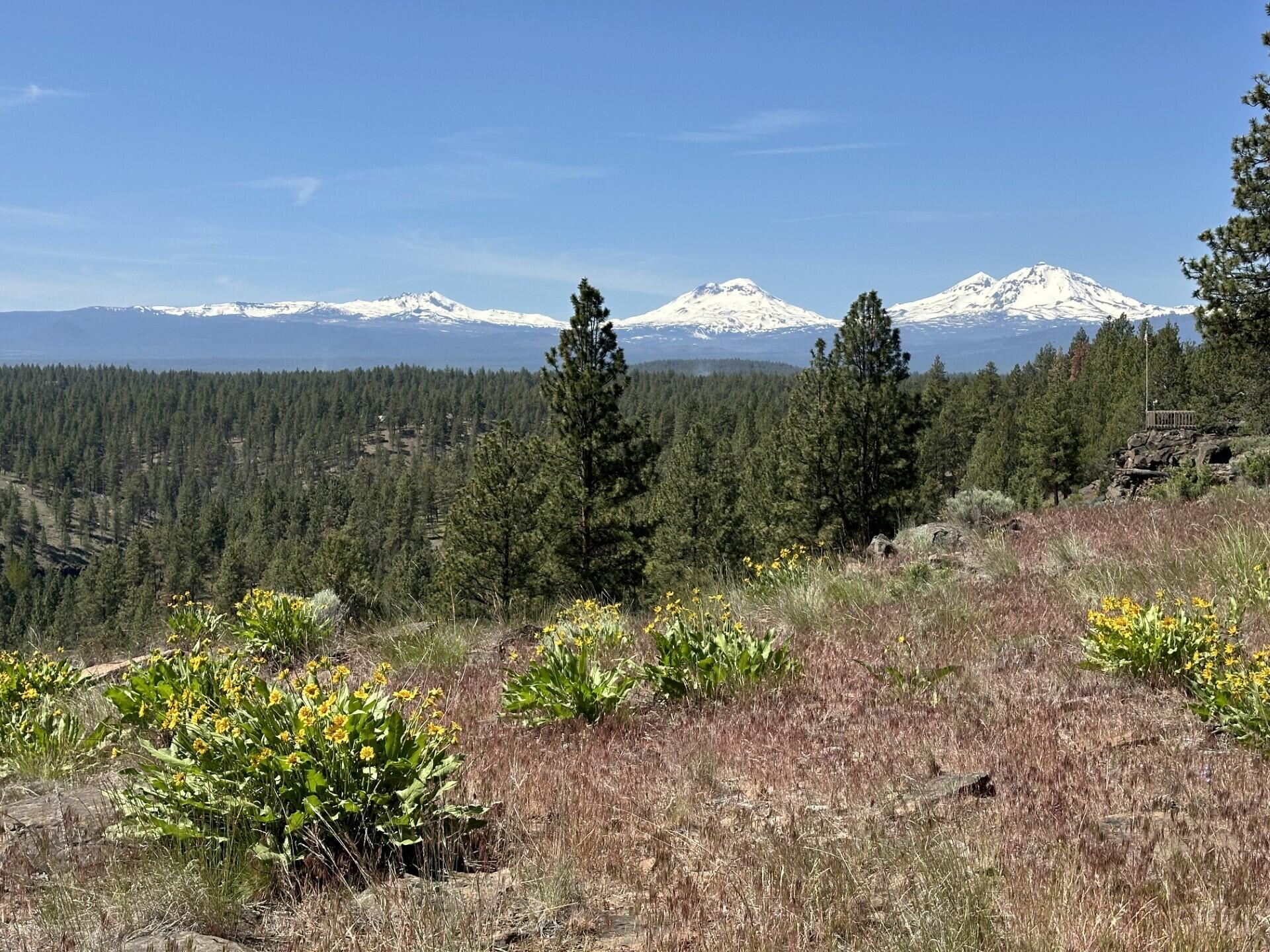 17127 Mountain View Road Sisters, OR 97759 - Photo 1 of 11 thumbnail_IMG_7900