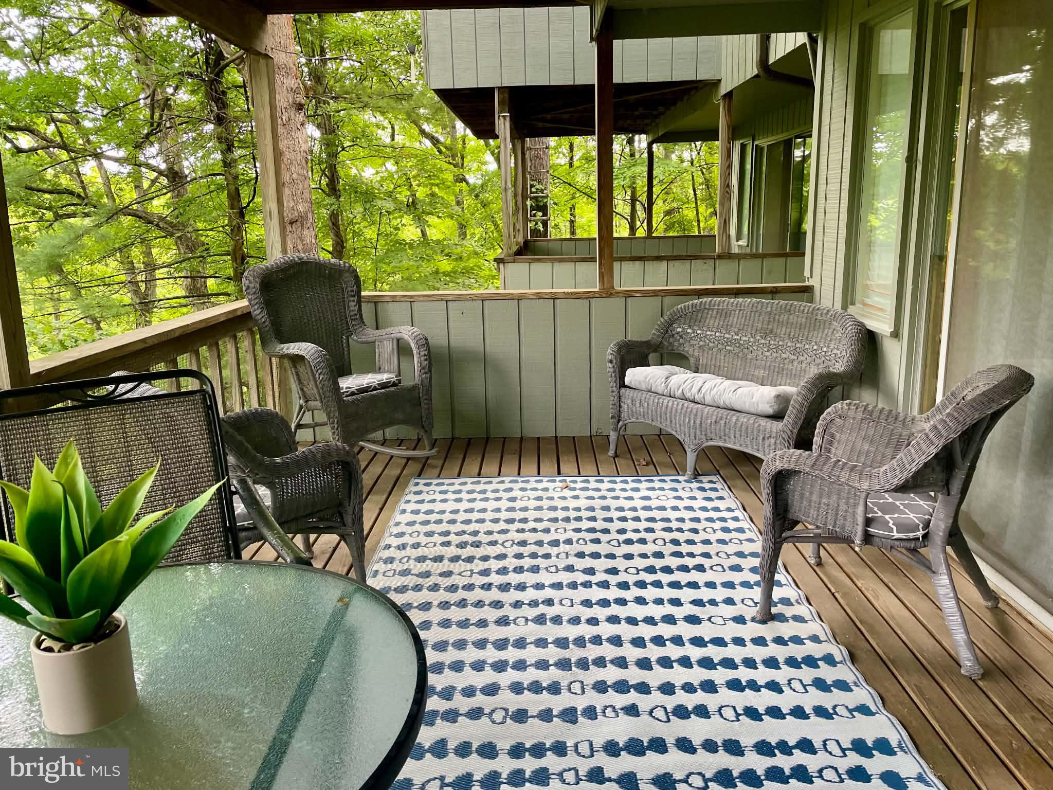 361 The Hill Road Basye, VA 22810 - Photo 6 of 25 Patio