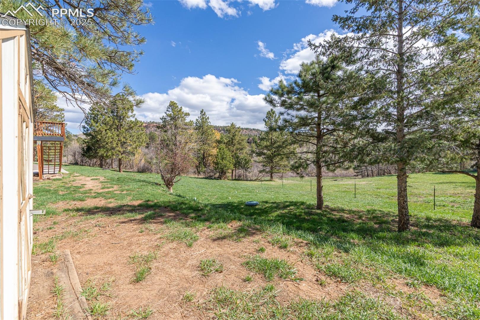 721 Forest View Road Monument, CO 80132 - Photo 22 of 47 2.5 Acres