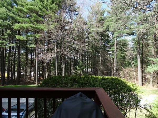 101 East Bluff Road, Unit 101 Ashland, MA 01721 - Photo 25 of 25 Gallery Image 25