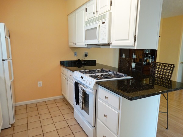 101 East Bluff Road, Unit 101 Ashland, MA 01721 - Photo 7 of 25 Gallery Image 7