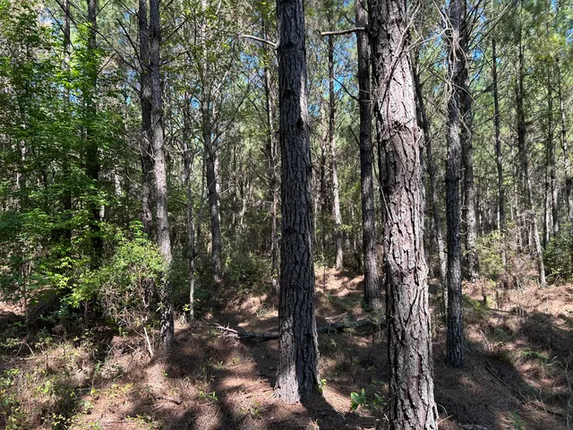 $150,000 | 10 Red Oak Road, Cottageville, SC 29435