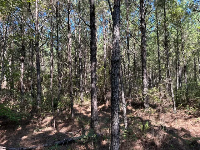 $150,000 | 10 Red Oak Road, Cottageville, SC 29435