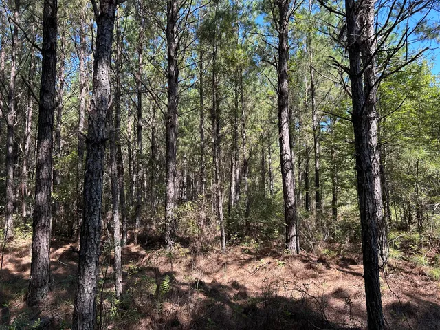 $150,000 | 10 Red Oak Road, Cottageville, SC 29435