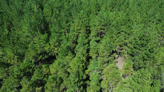 $150,000 | 10 Red Oak Road, Cottageville, SC 29435