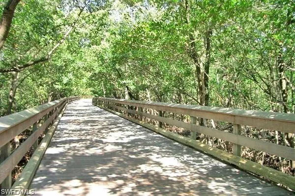 a view of a large yard with large trees