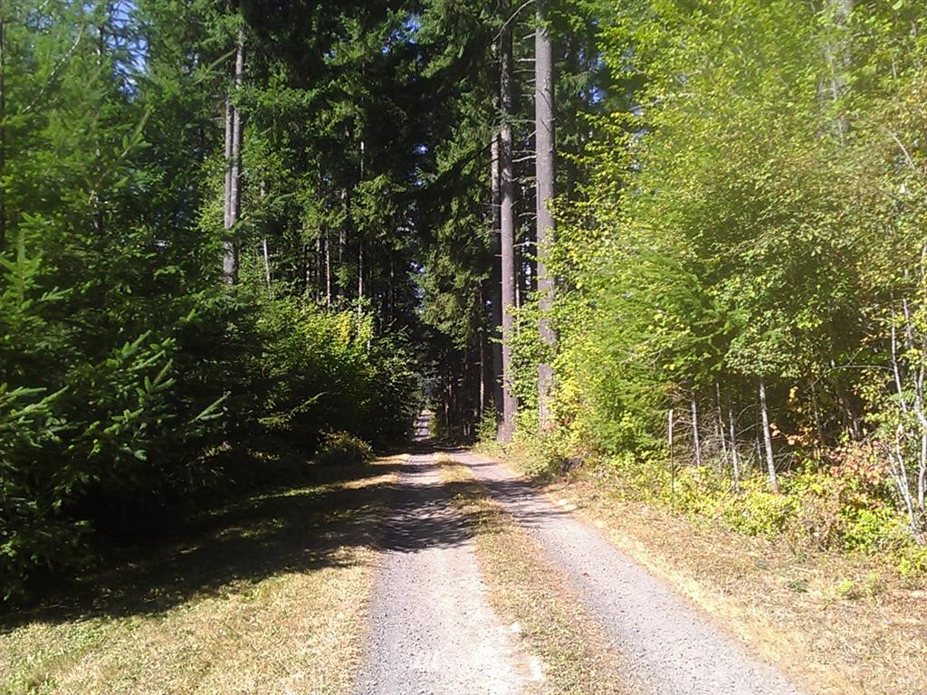 196 Jefferies Road Chehalis, WA 98532 - Photo 4 of 13