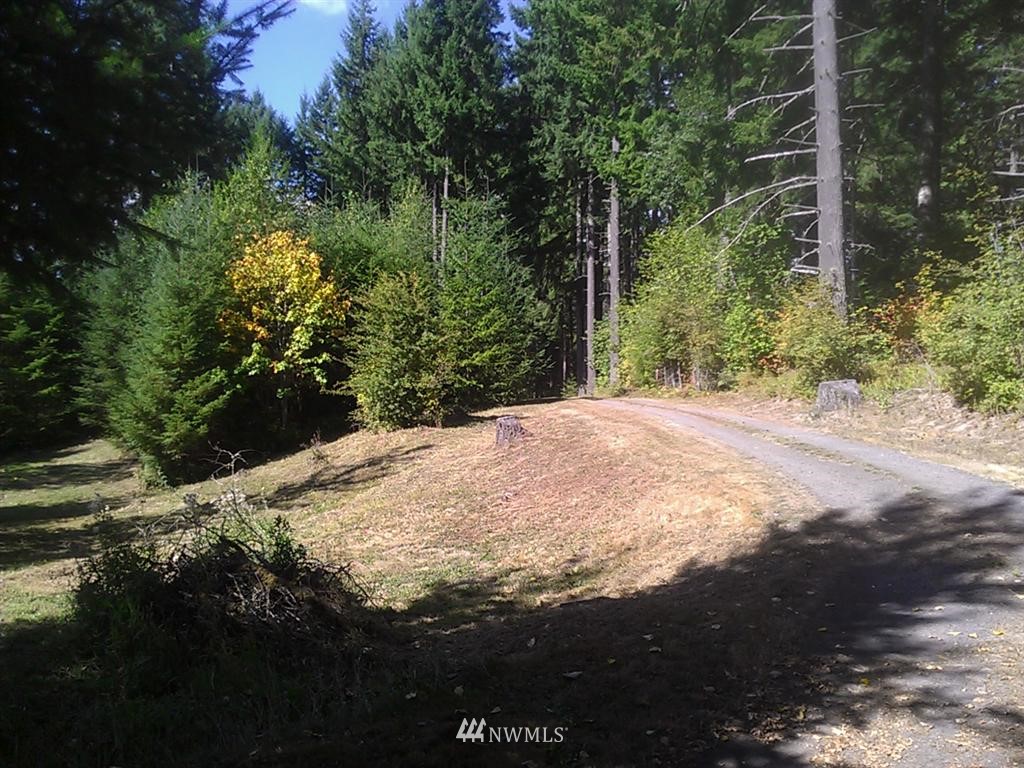 196 Jefferies Road Chehalis, WA 98532 - Photo 5 of 13