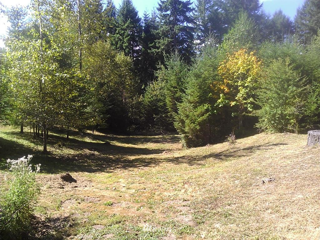 196 Jefferies Road Chehalis, WA 98532 - Photo 6 of 13