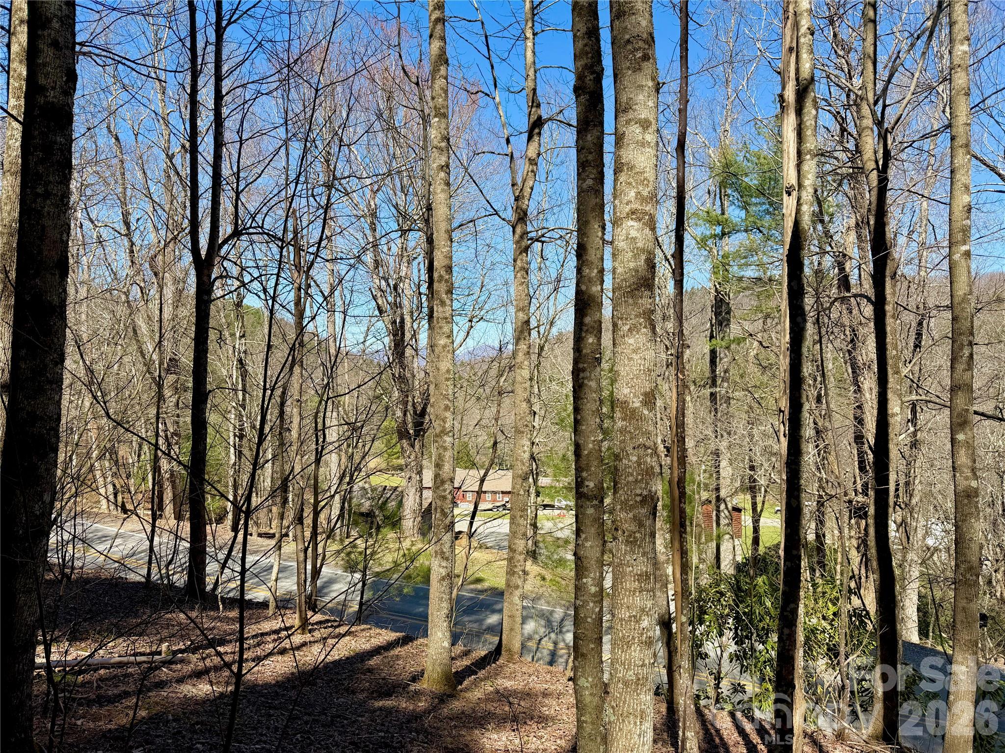 Tbd George Hayes Road, Unit TRACT B Boone, NC 28607 - Photo 22 of 23 a view of outdoor space