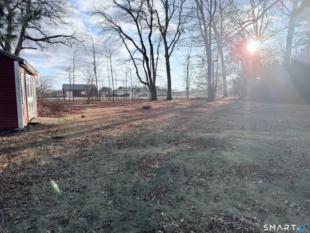 a view of dirt yard with a large tree