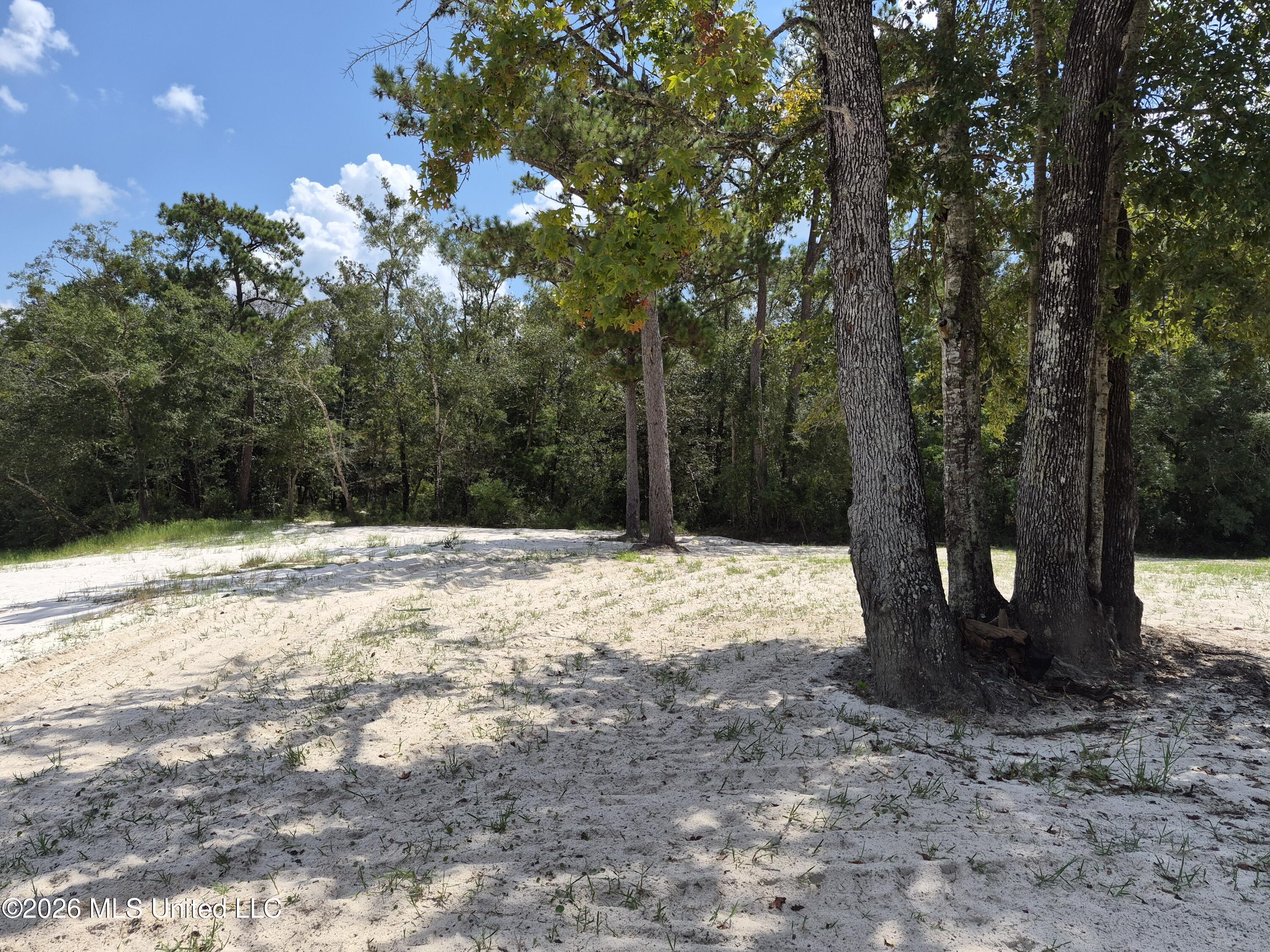 13756 River Road Gulfport, MS 39503 - Photo 59 of 93 Cleared East End