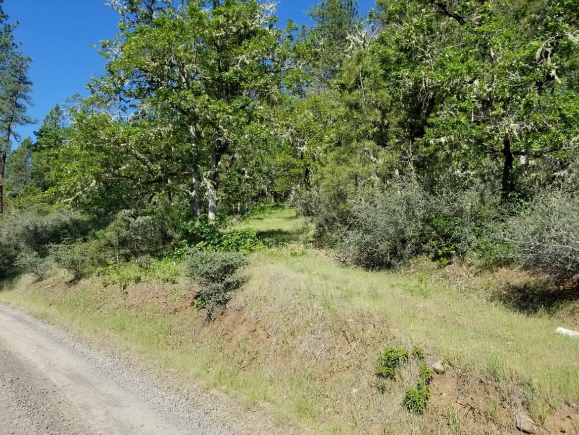 0 Ragsdale Road Trail, OR 97541 - Photo 13 of 17 Additional Photo