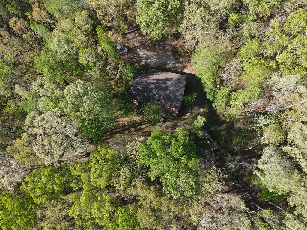 810 State Rd S-24-93 Donalds, SC 29638 - Photo 23 of 24