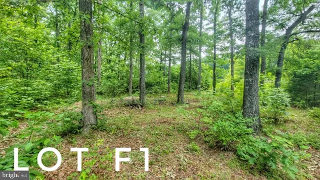 $25,500 | F2 Orchid Lake Drive, Gum Spring, VA 23065