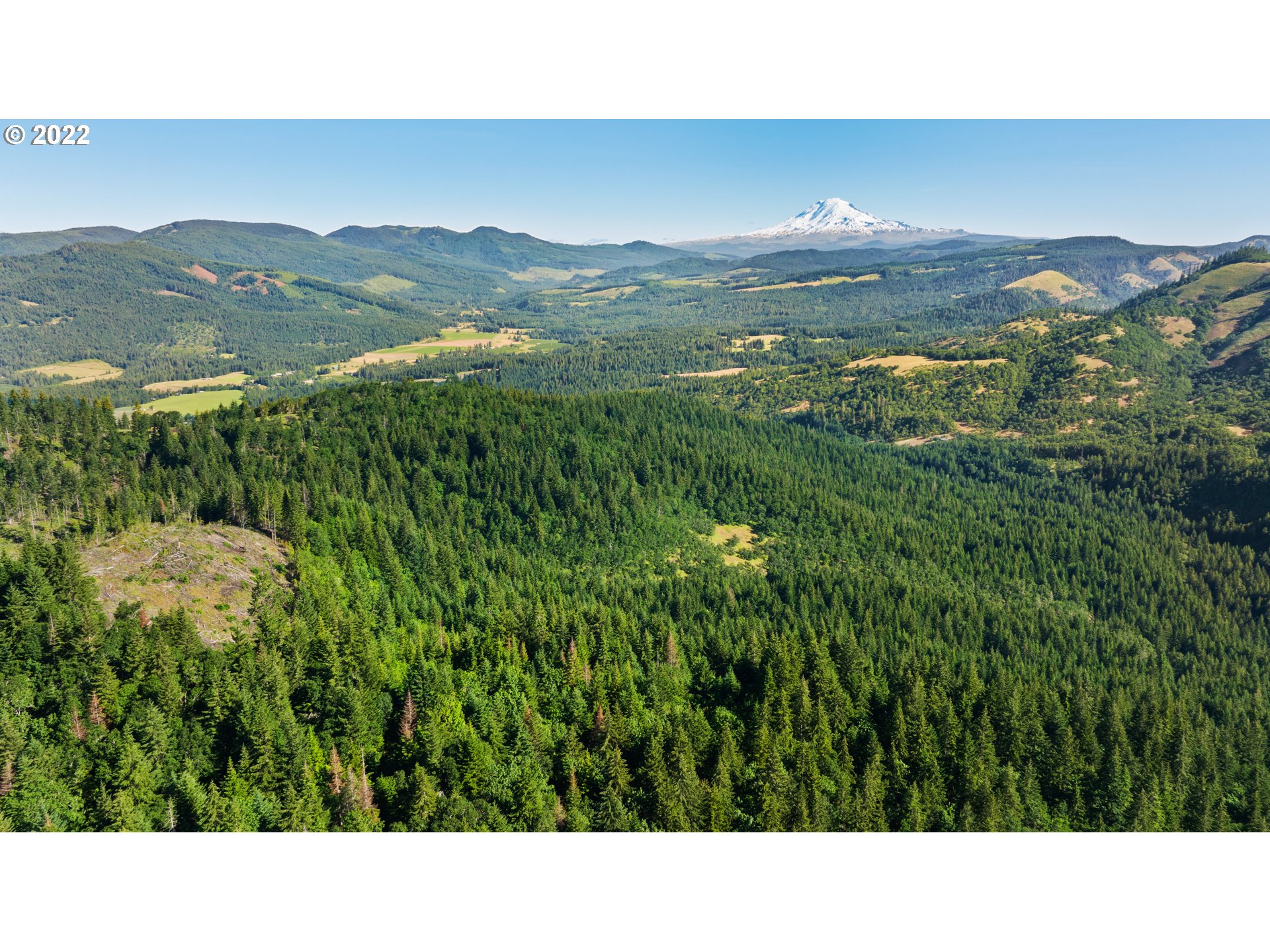 Snowden White Salmon, WA 98672 - Photo 13 of 18 a black and white photo of a house