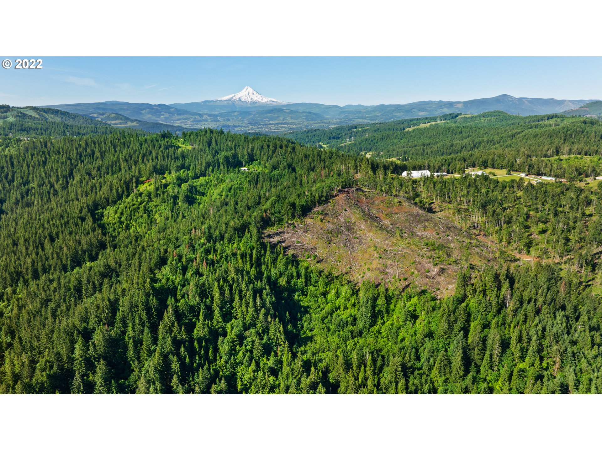 Snowden White Salmon, WA 98672 - Photo 16 of 18 a black and white photo of a green field