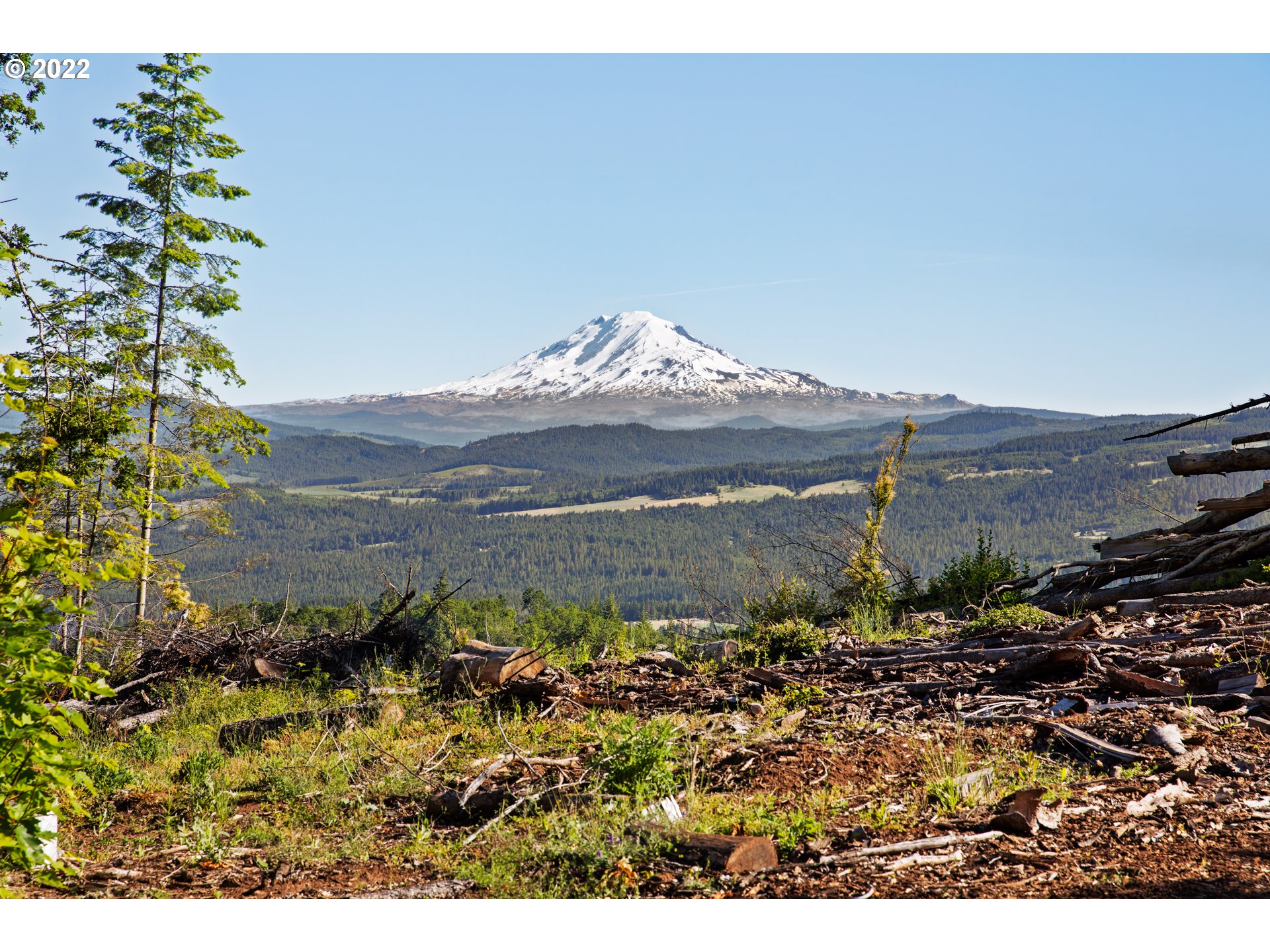 Snowden White Salmon, WA 98672 - Photo 2 of 18 a view of a mountain in the distance