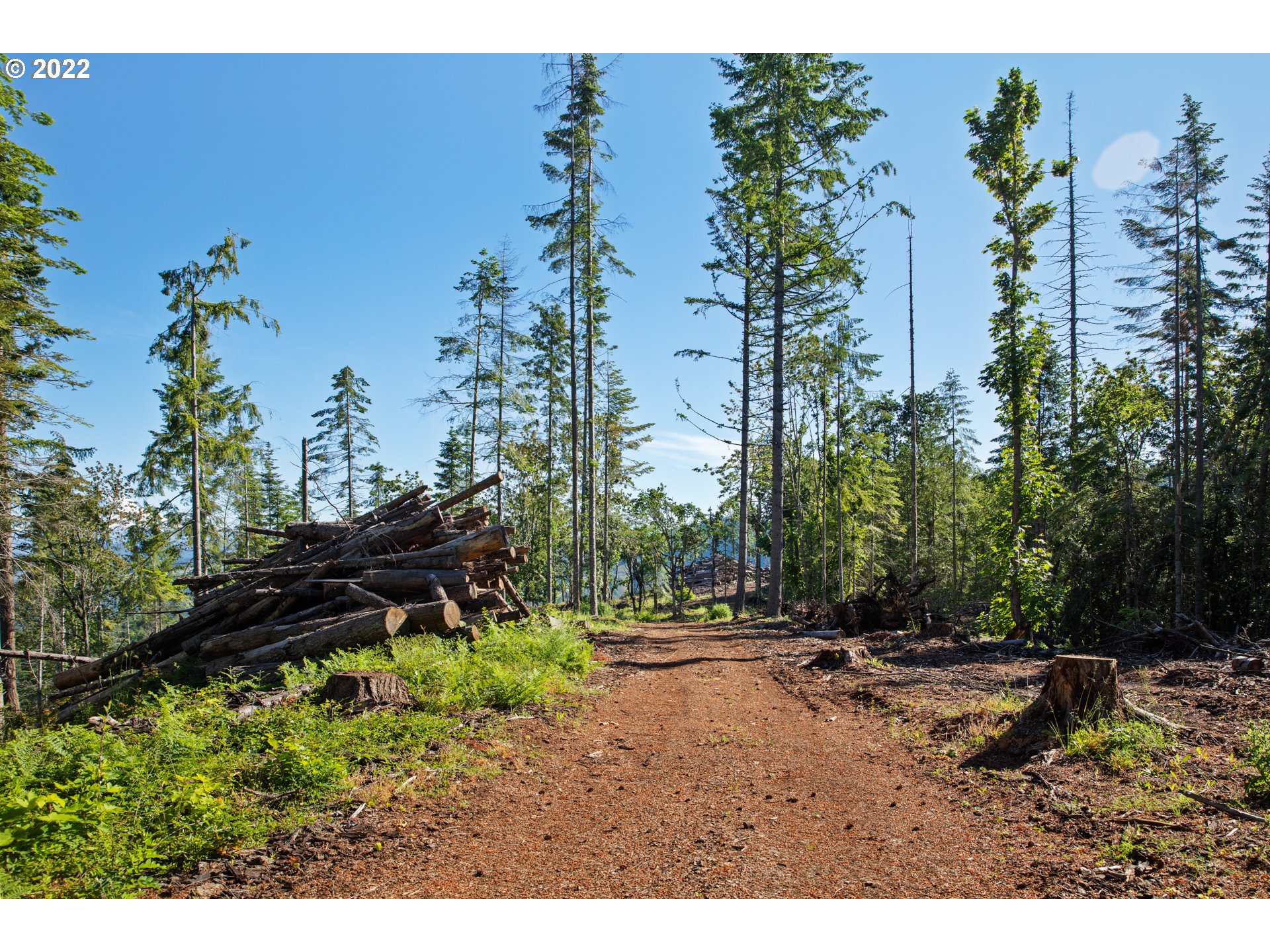 Snowden White Salmon, WA 98672 - Photo 3 of 18 a backyard of a house with lots of green space
