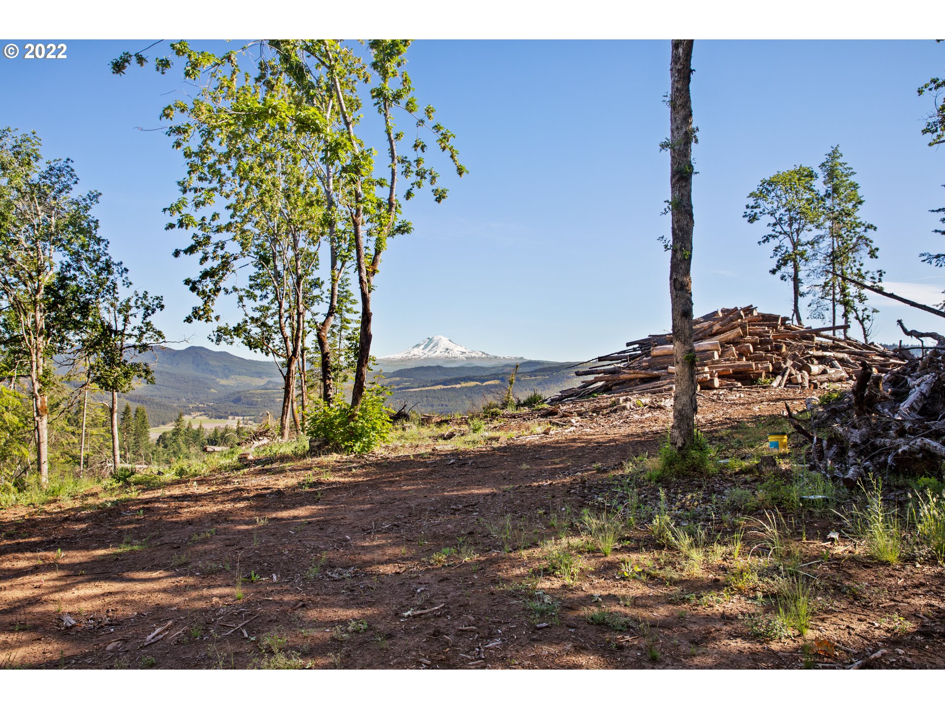 Snowden White Salmon, WA 98672 - Photo 4 of 18 a view of outdoor space with street view